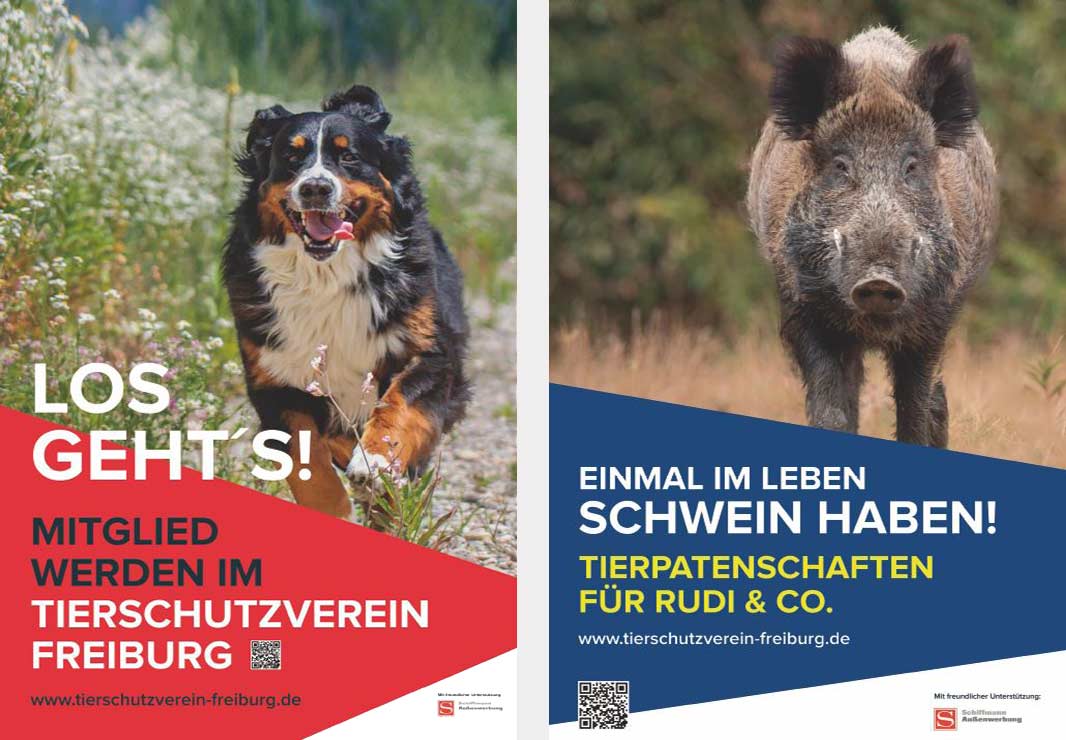 Plakatmotiv Hund und Schwein für Tierschutzverein Freiburg